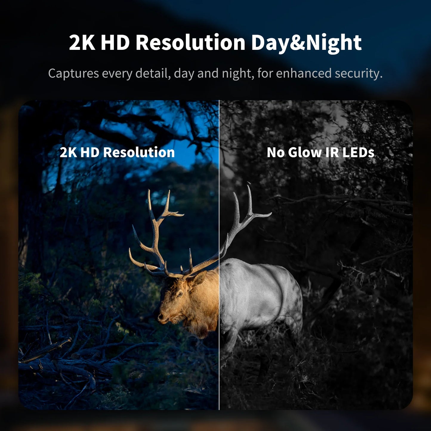 4G LTE Solar Cellular Trail Camera, 2K HD Wildlife Deer Game Hunting Camera with Color Night Vision, PIR Motion Detection, 360° PTZ View, Outdoor Security